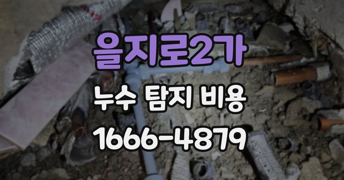 을지로2가 누수 탐지 비용
