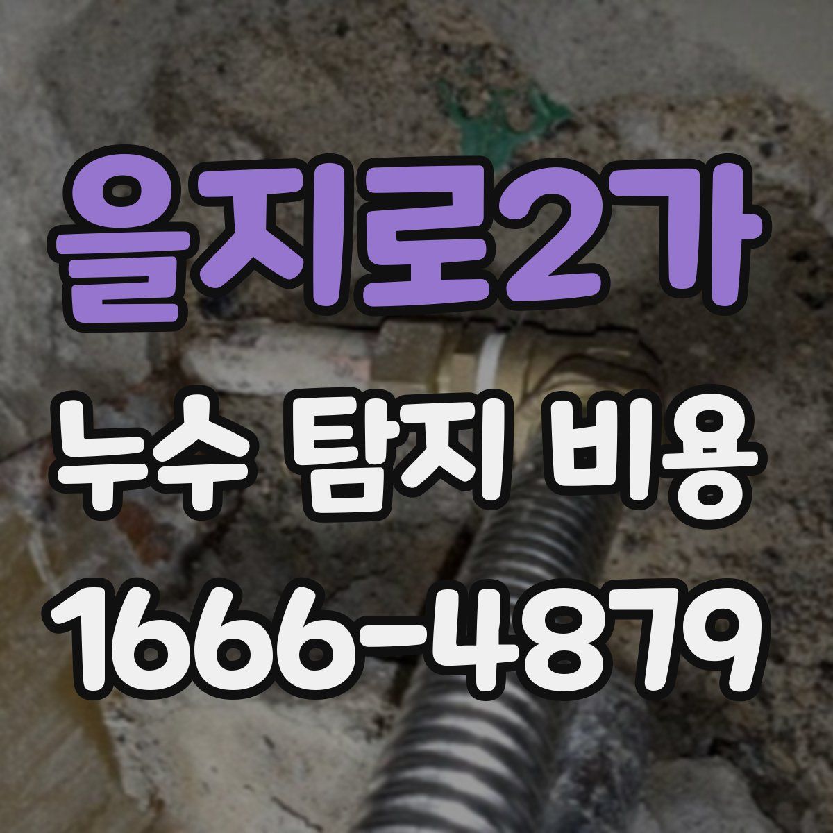 을지로2가 누수 탐지 비용