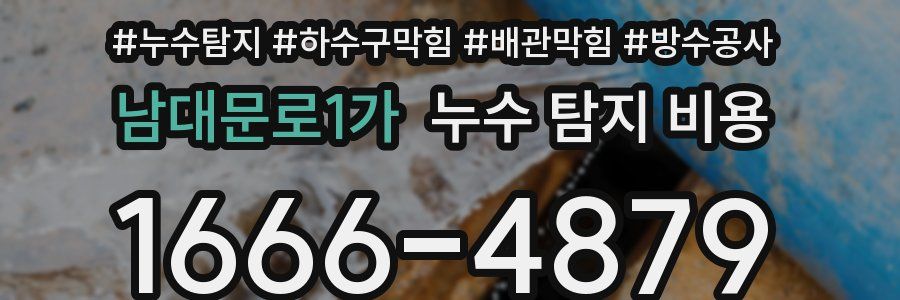 남대문로1가 누수 탐지 비용
