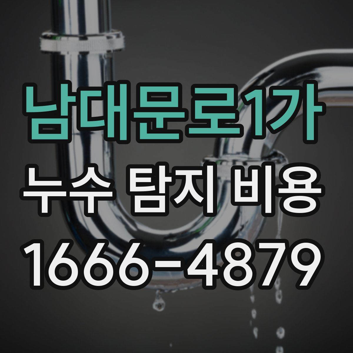 남대문로1가 누수 탐지 비용