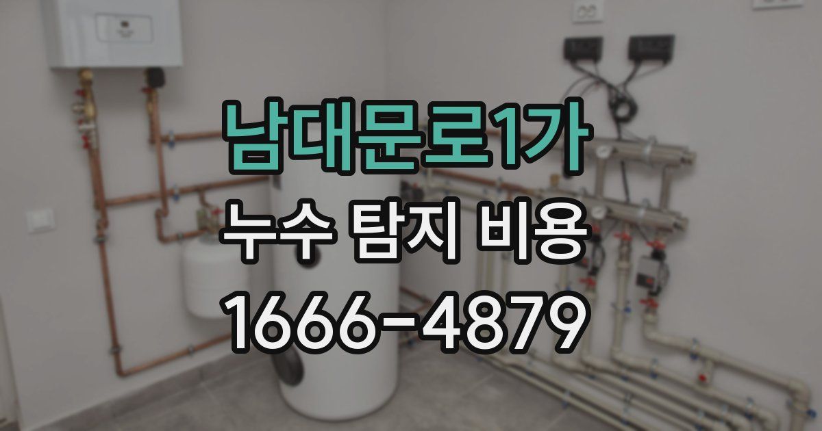 남대문로1가 누수 탐지 비용