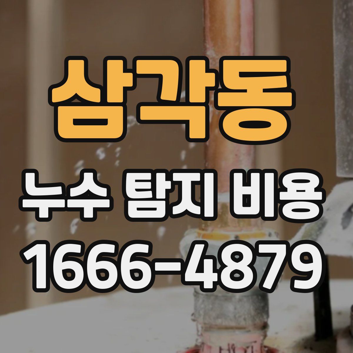 삼각동 누수 탐지 비용