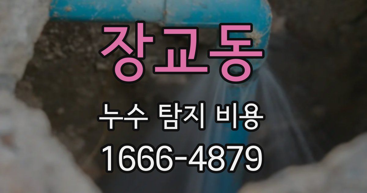 장교동 누수 탐지 비용