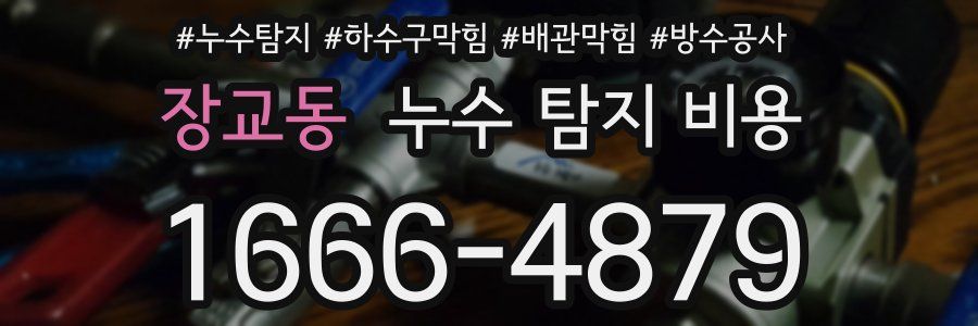 장교동 누수 탐지 비용