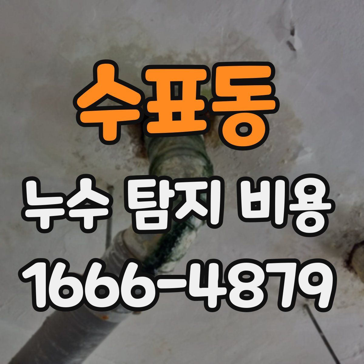 수표동 누수 탐지 비용