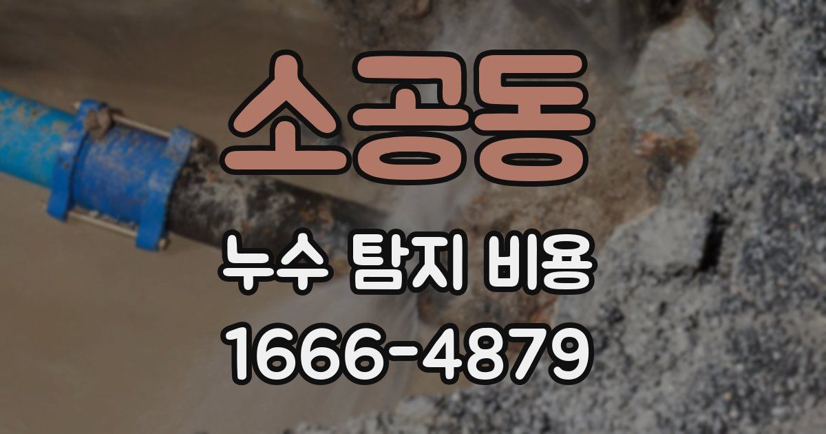 소공동 누수 탐지 비용