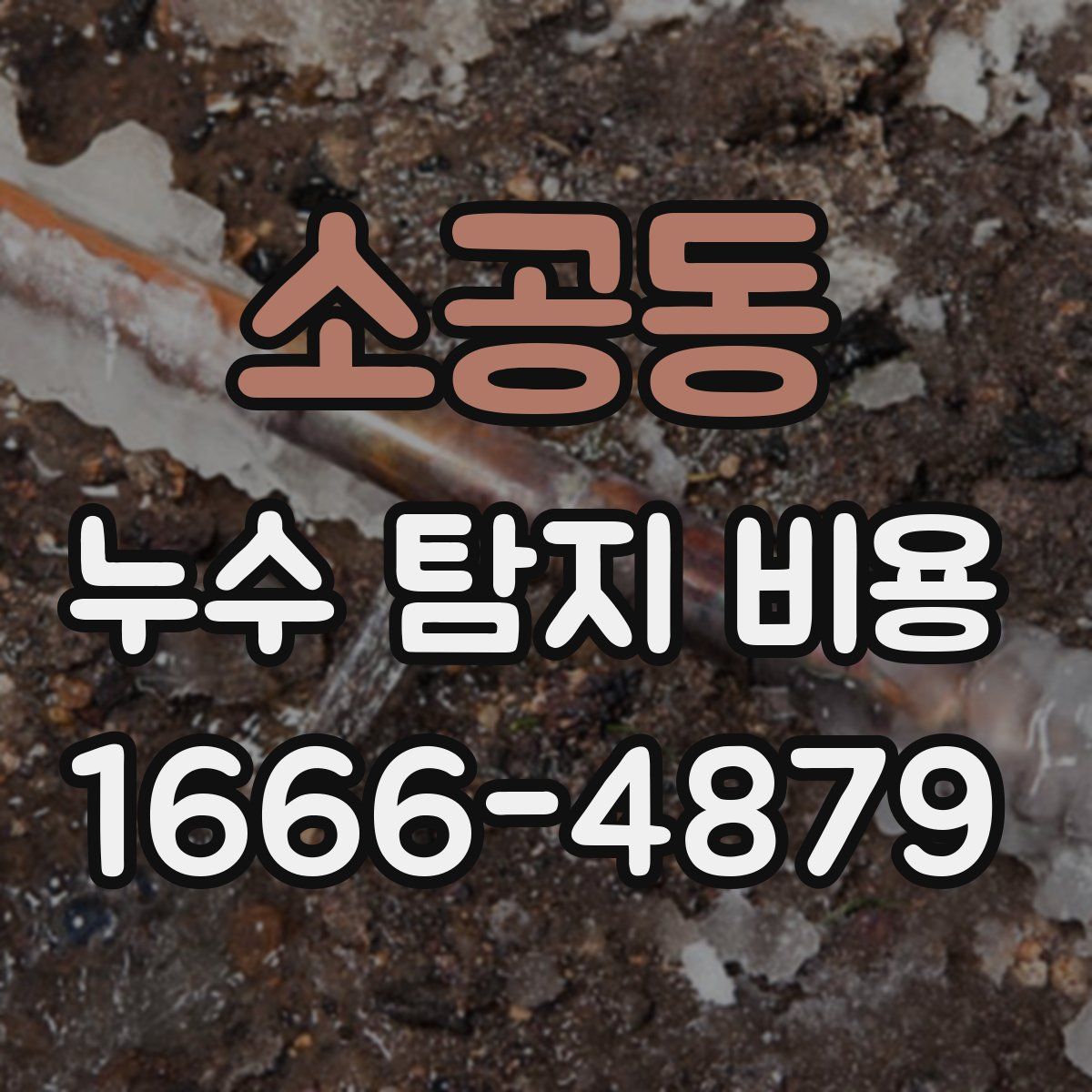 소공동 누수 탐지 비용