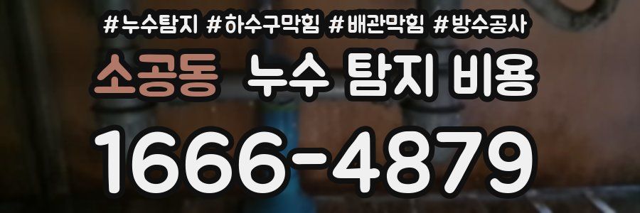 소공동 누수 탐지 비용