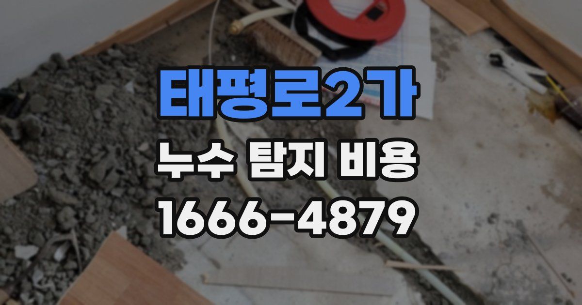 태평로2가 누수 탐지 비용