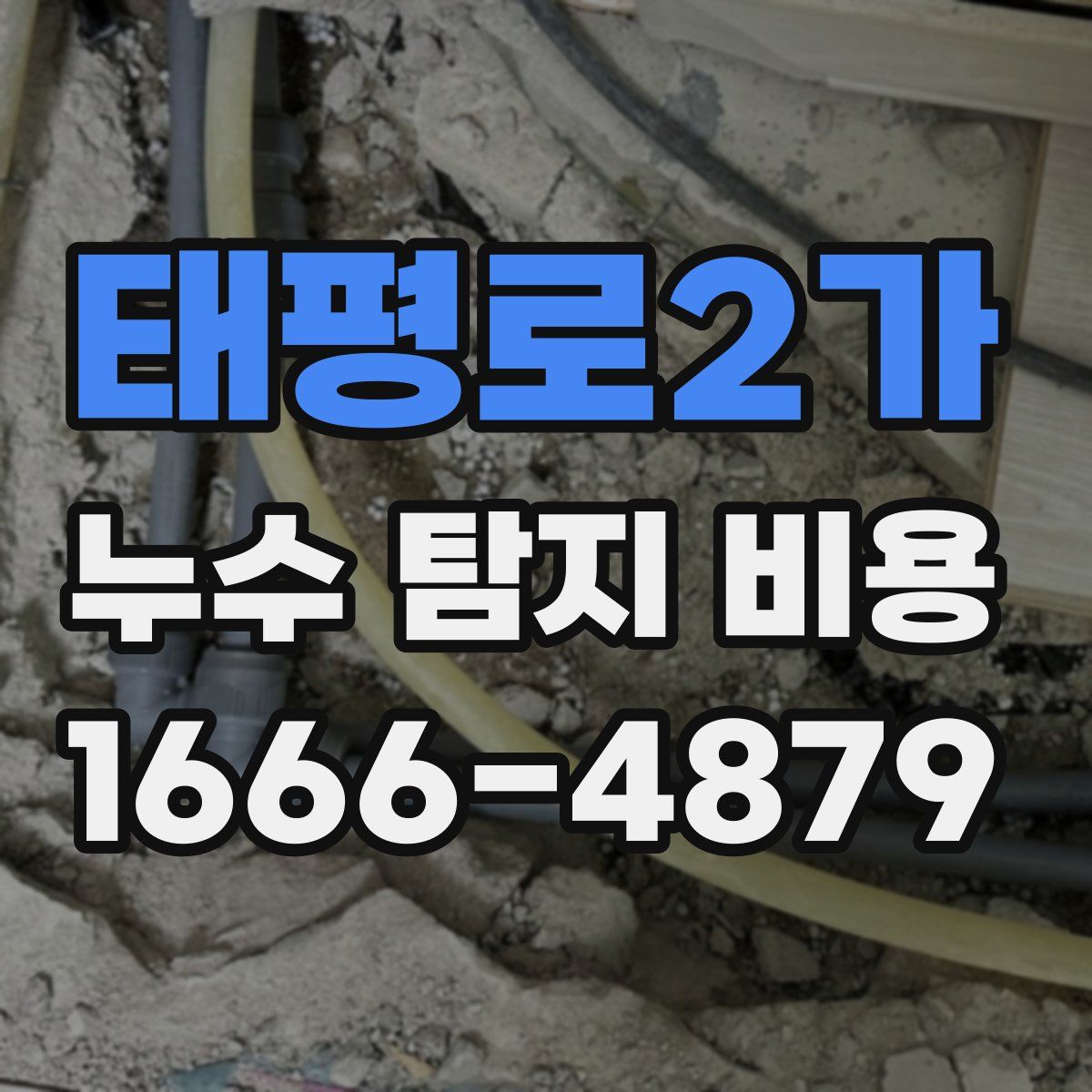 태평로2가 누수 탐지 비용