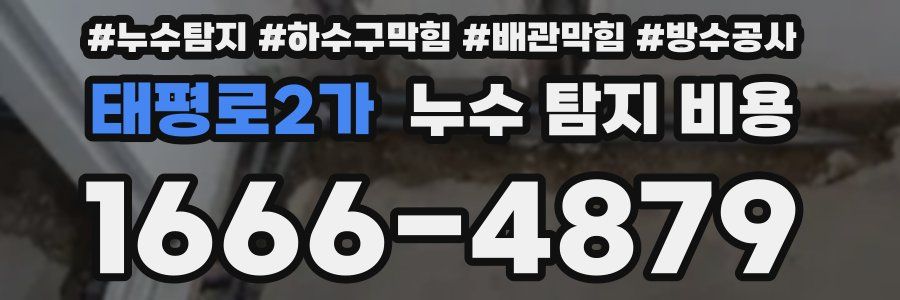 태평로2가 누수 탐지 비용
