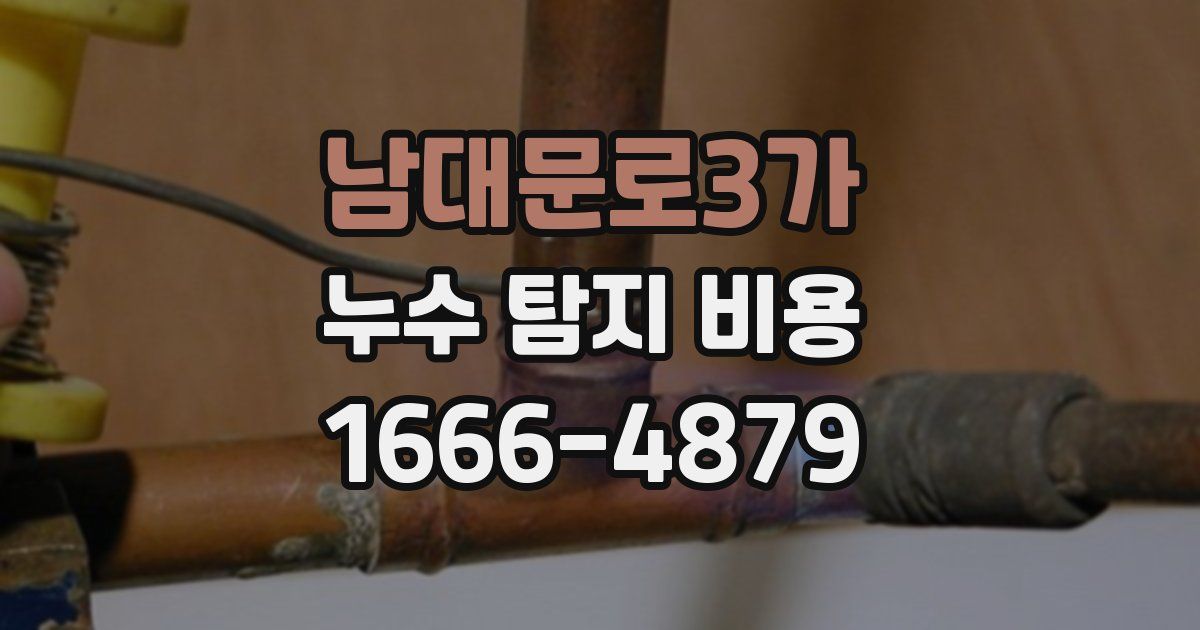 남대문로3가 누수 탐지 비용