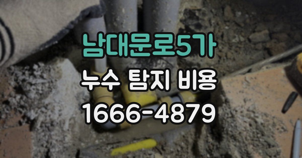 남대문로5가 누수 탐지 비용