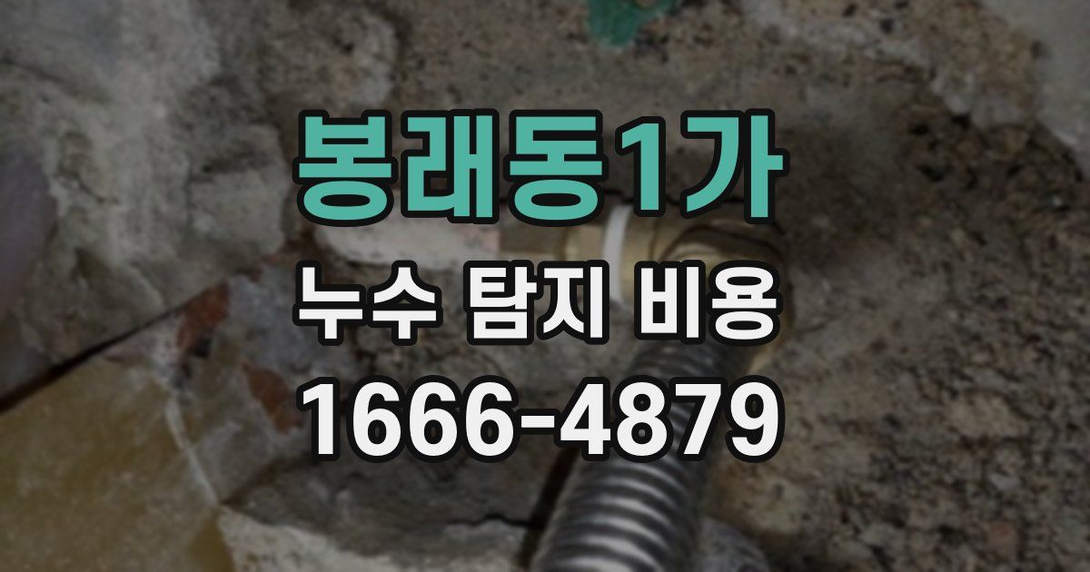 봉래동1가 누수 탐지 비용