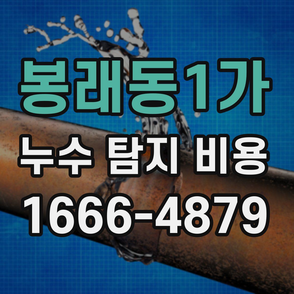 봉래동1가 누수 탐지 비용