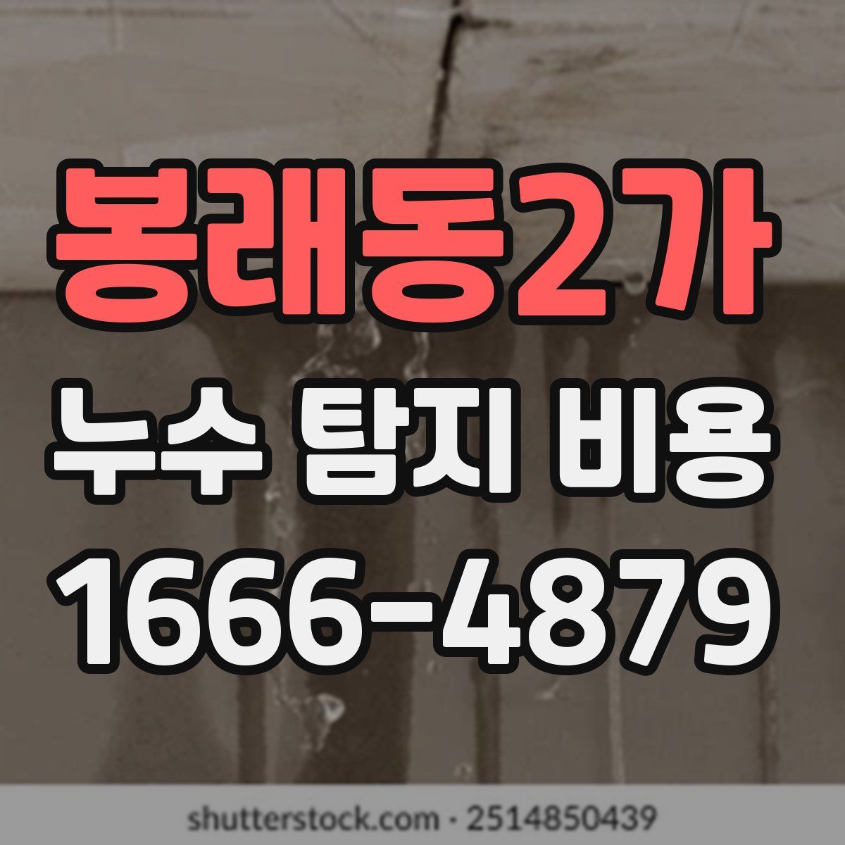 봉래동2가 누수 탐지 비용