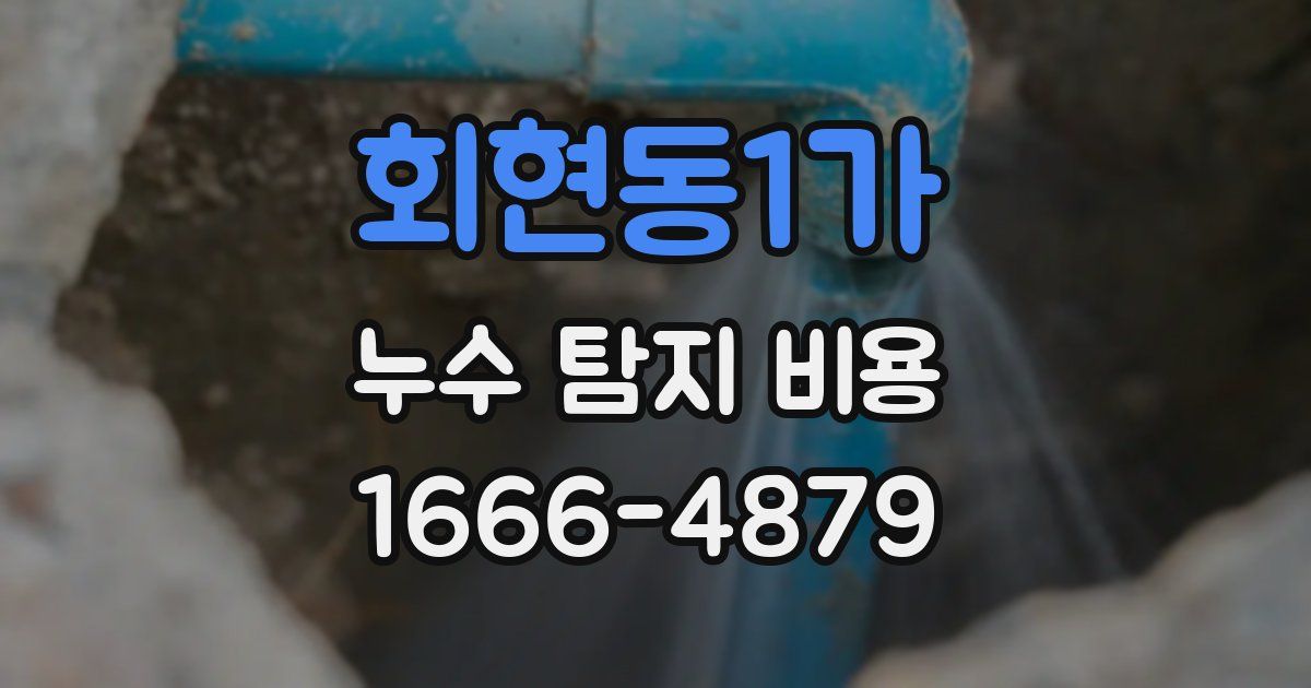 회현동1가 누수 탐지 비용