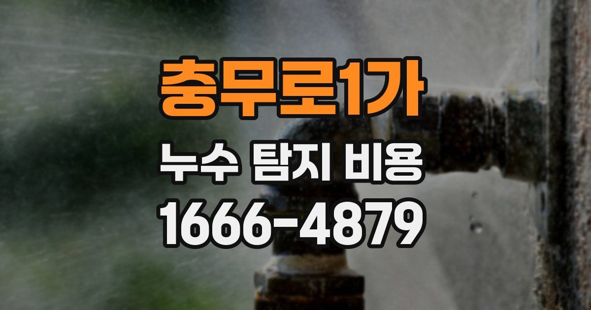 충무로1가 누수 탐지 비용