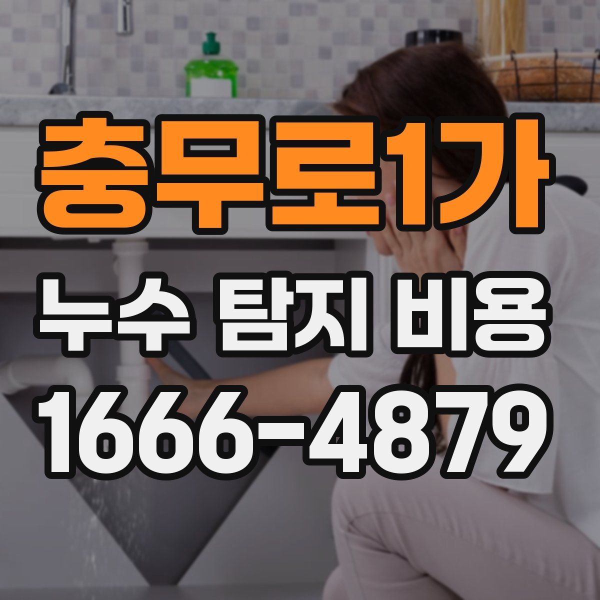 충무로1가 누수 탐지 비용