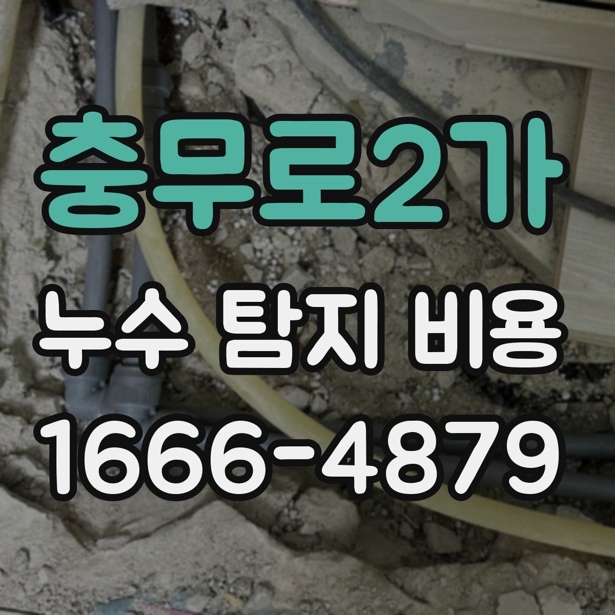 충무로2가 누수 탐지 비용