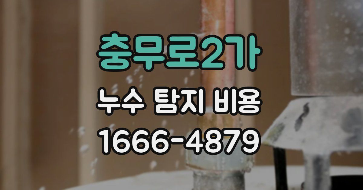 충무로2가 누수 탐지 비용