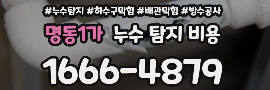 명동1가 누수 탐지 비용