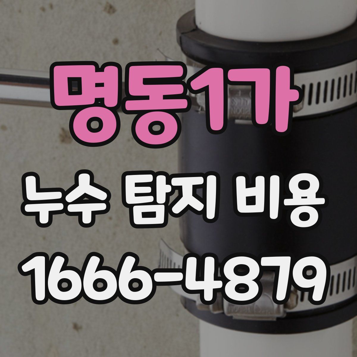 명동1가 누수 탐지 비용