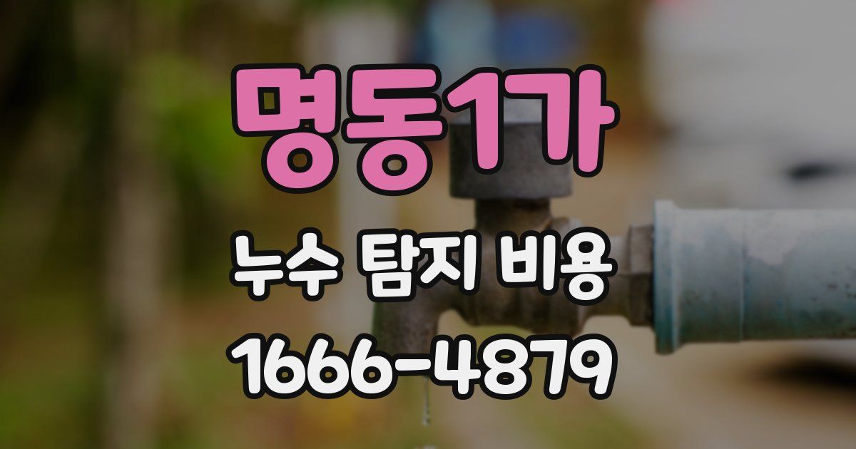 명동1가 누수 탐지 비용