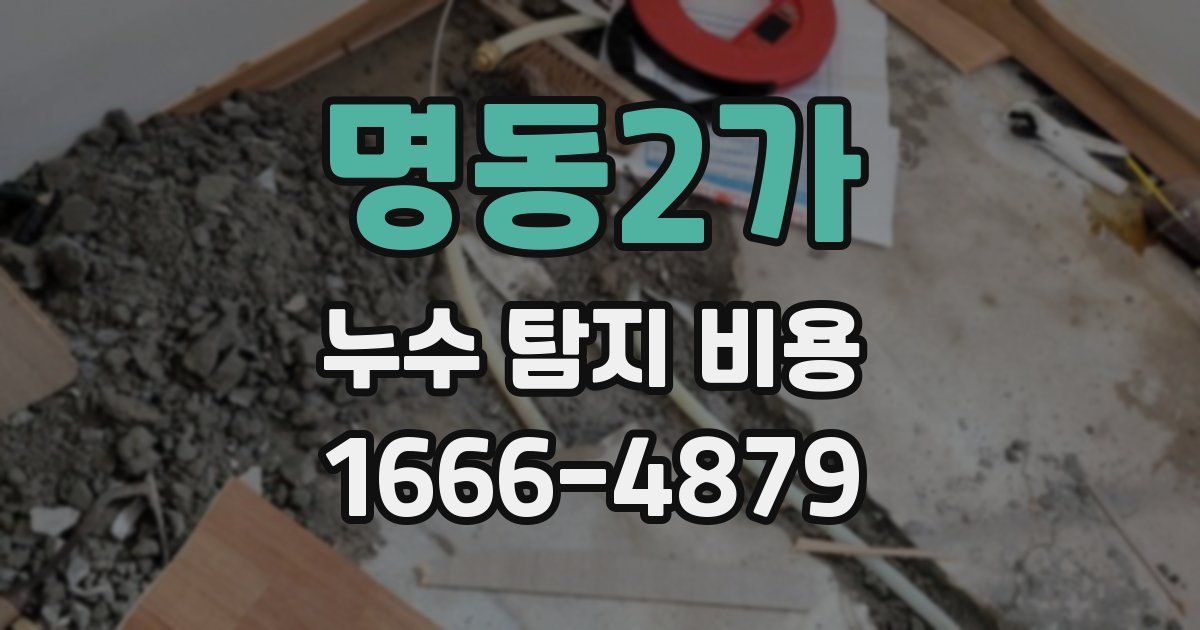 명동2가 누수 탐지 비용