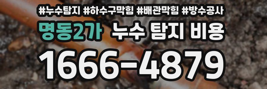 명동2가 누수 탐지 비용