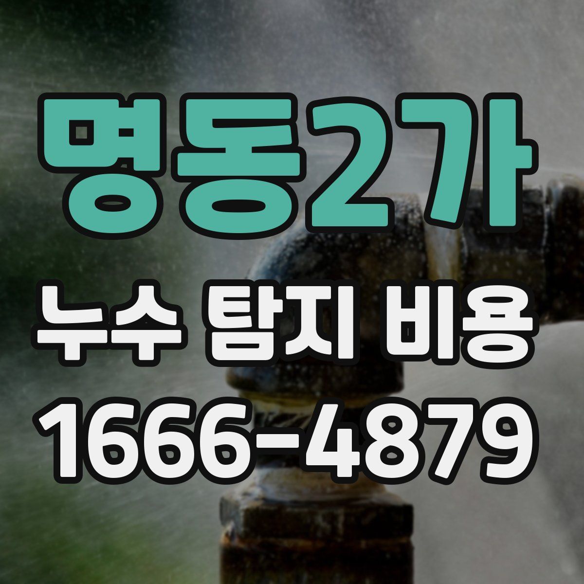 명동2가 누수 탐지 비용