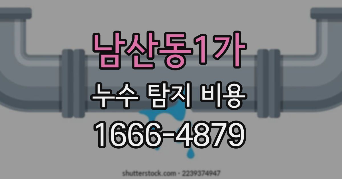 남산동1가 누수 탐지 비용