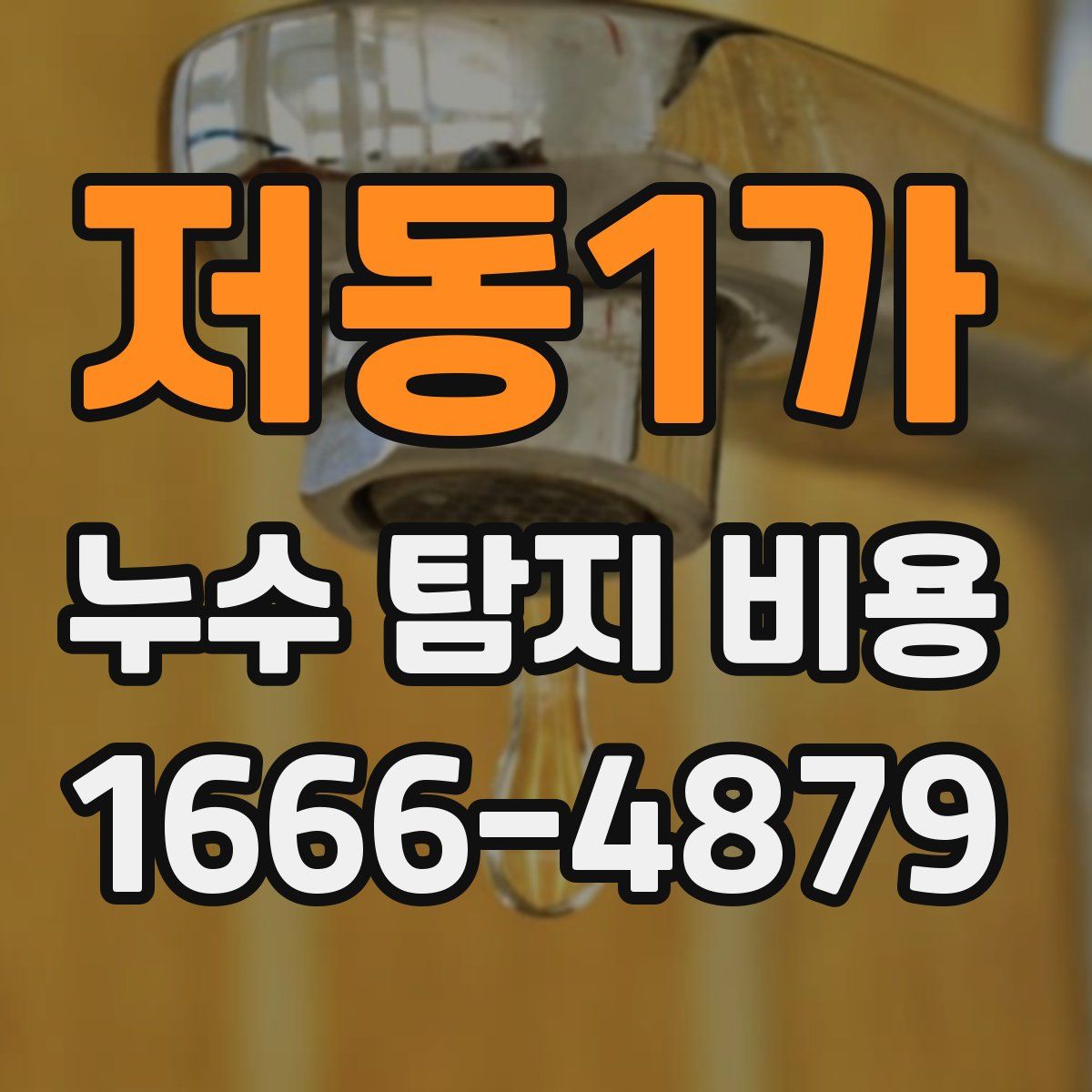 저동1가 누수 탐지 비용