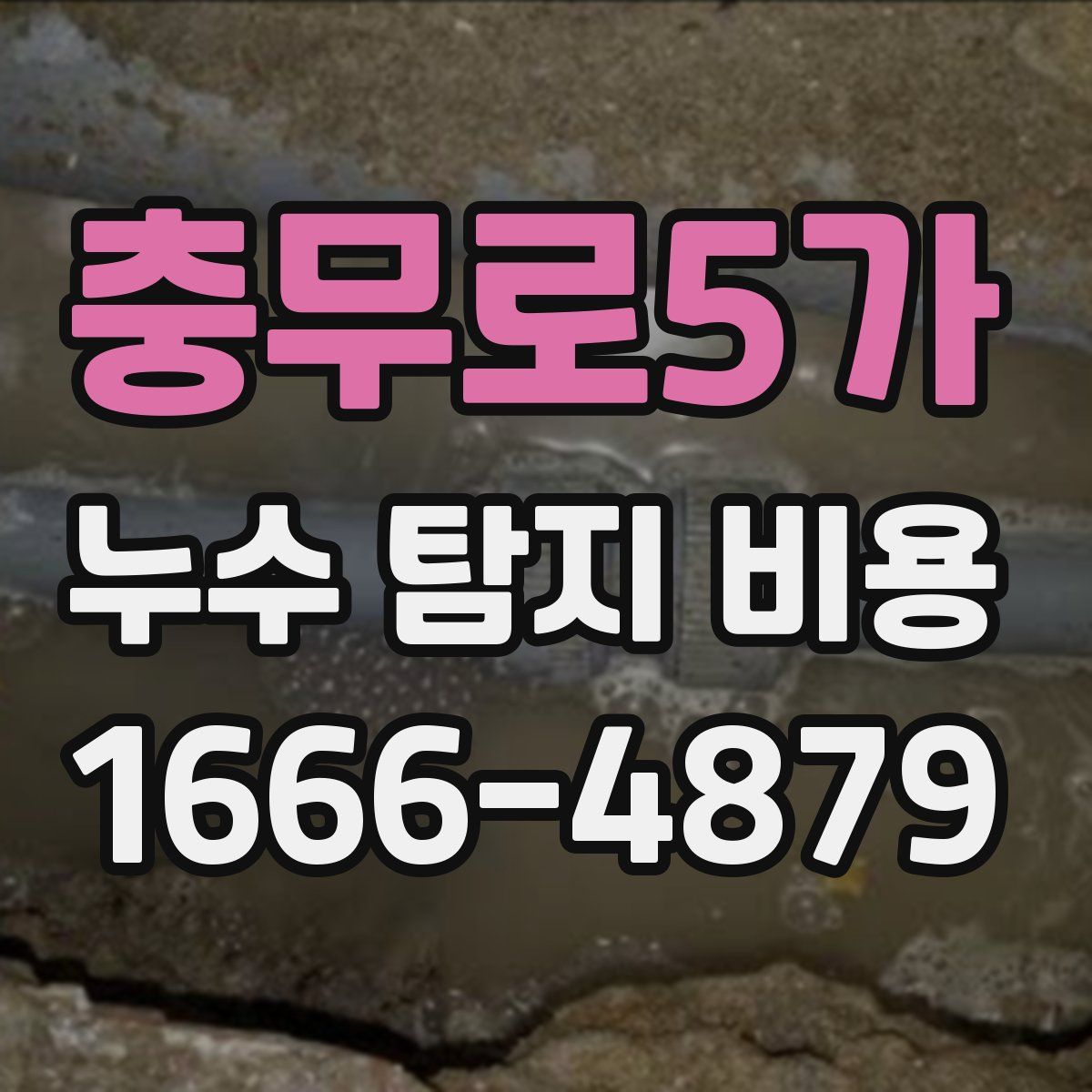 충무로5가 누수 탐지 비용