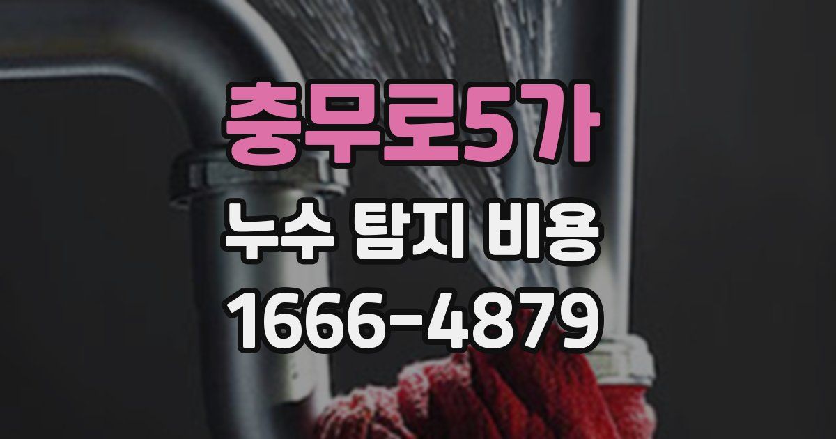충무로5가 누수 탐지 비용