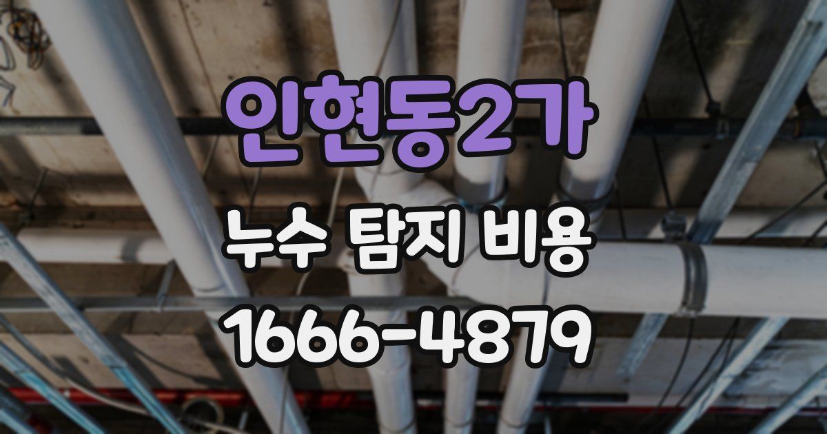 인현동2가 누수 탐지 비용