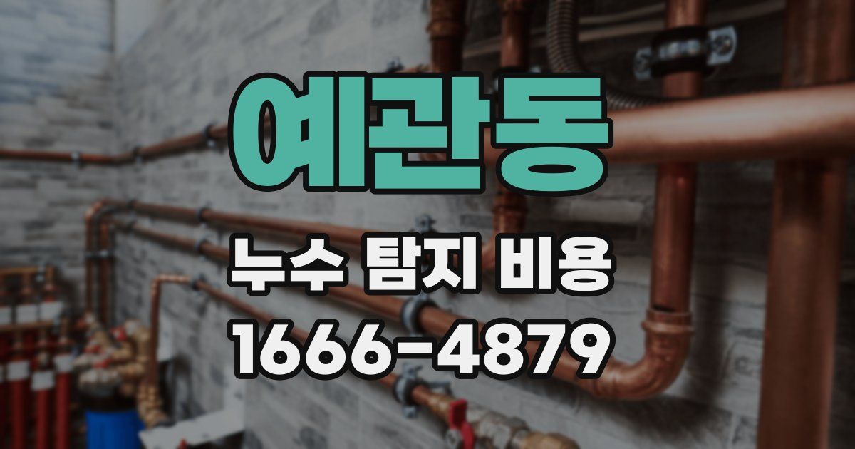 예관동 누수 탐지 비용