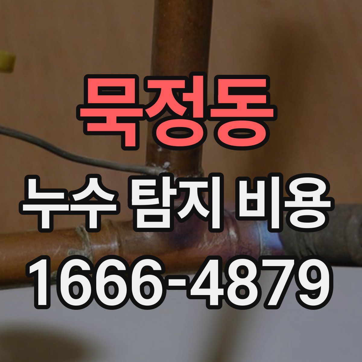 묵정동 누수 탐지 비용