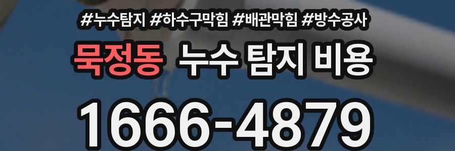 묵정동 누수 탐지 비용