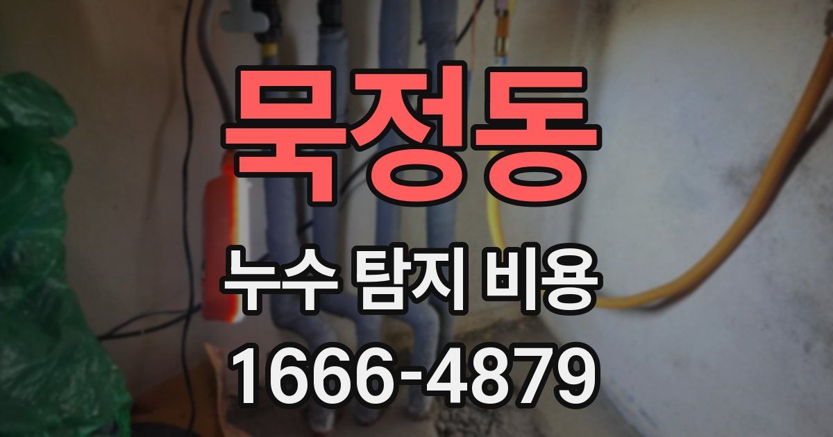 묵정동 누수 탐지 비용