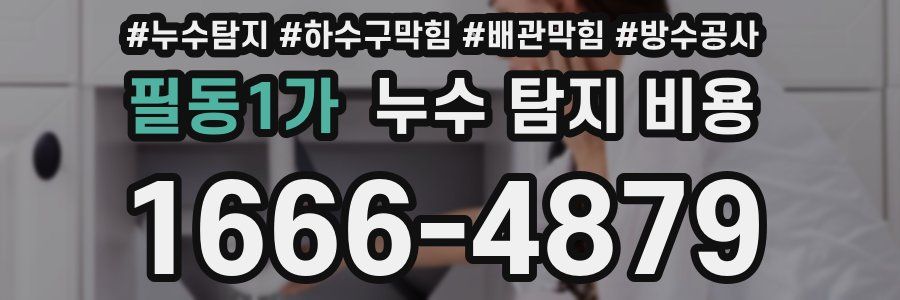 필동1가 누수 탐지 비용