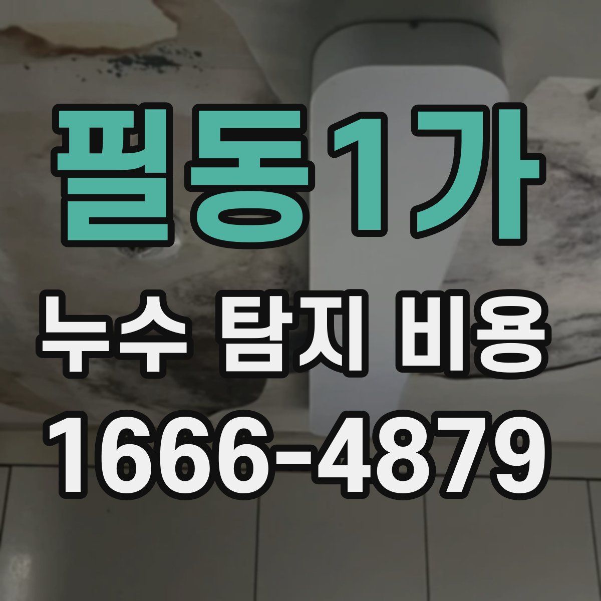 필동1가 누수 탐지 비용
