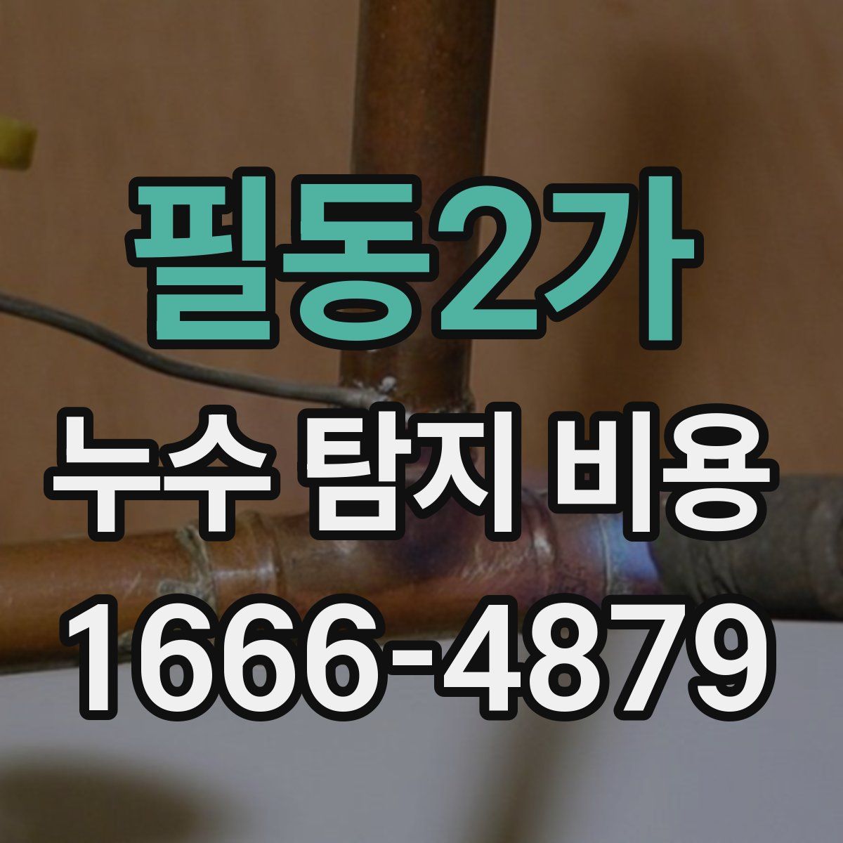 필동2가 누수 탐지 비용