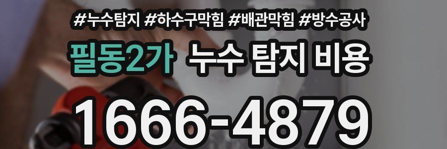 필동2가 누수 탐지 비용