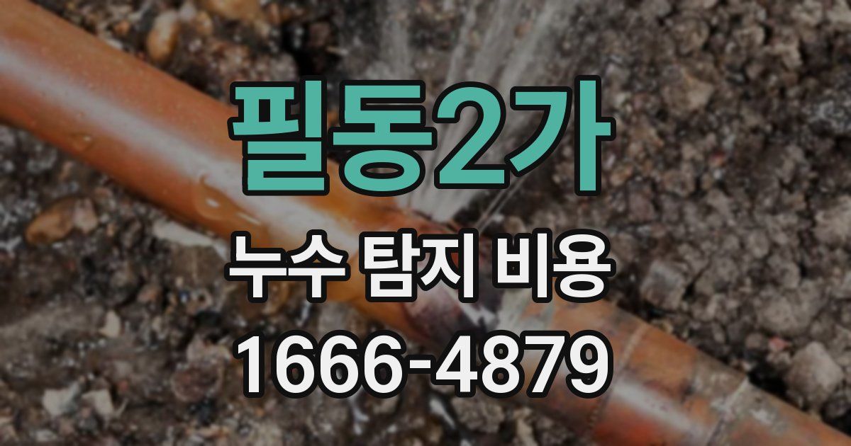 필동2가 누수 탐지 비용