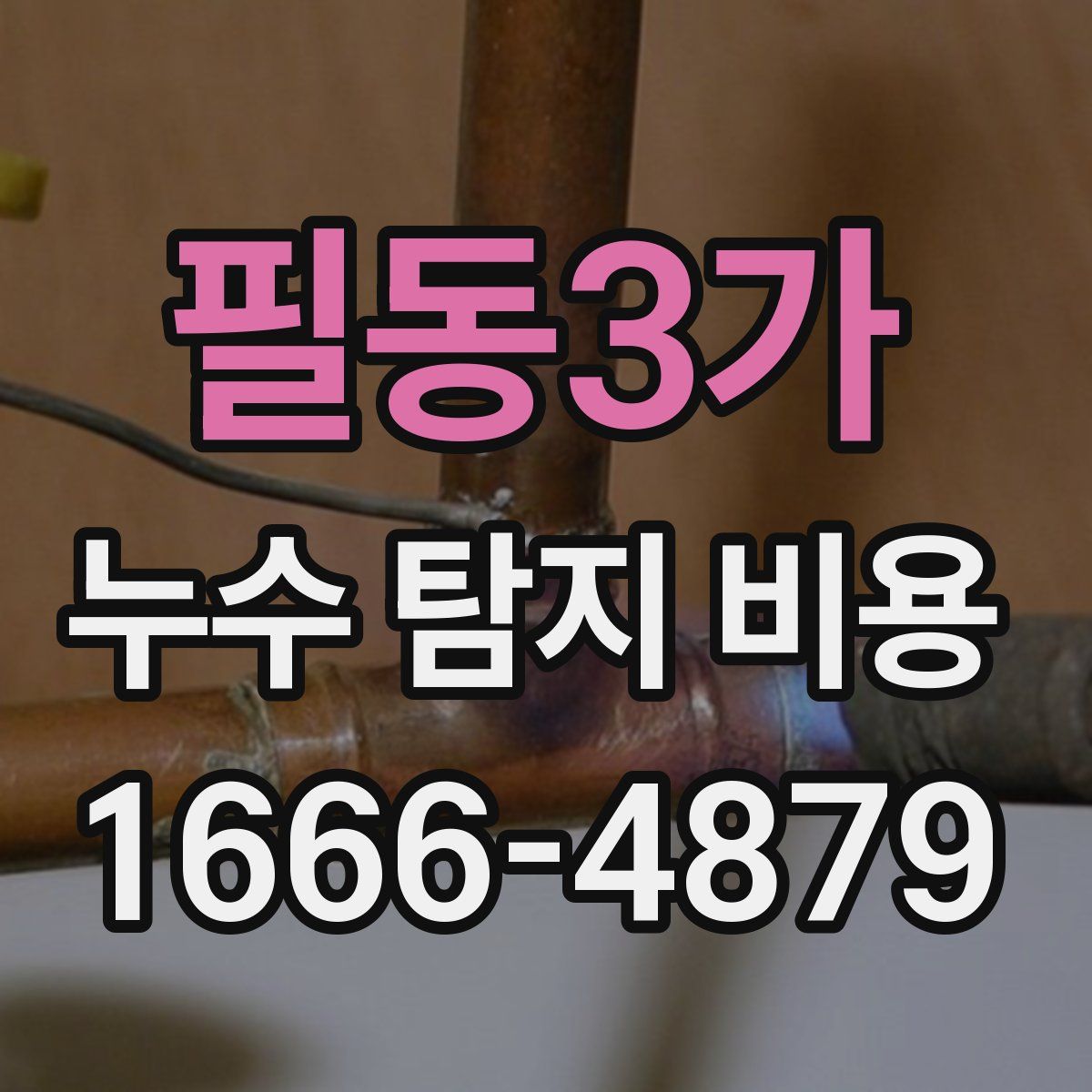 필동3가 누수 탐지 비용