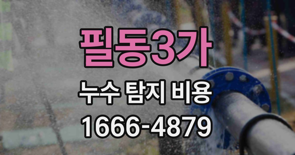 필동3가 누수 탐지 비용