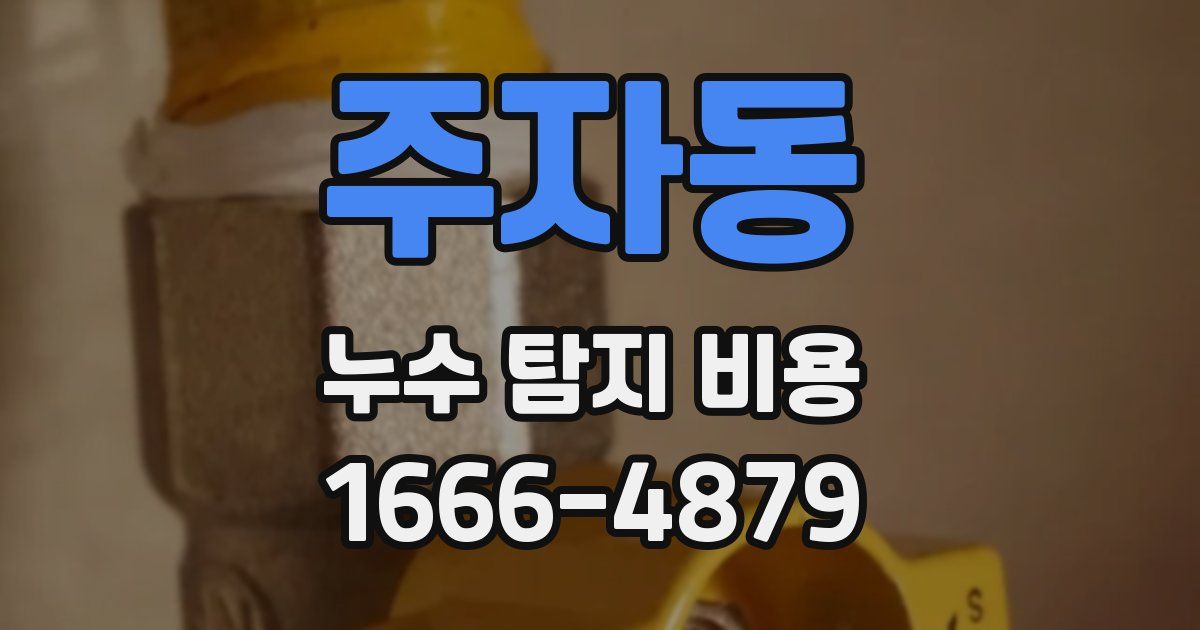 주자동 누수 탐지 비용