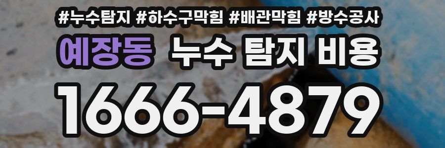 예장동 누수 탐지 비용