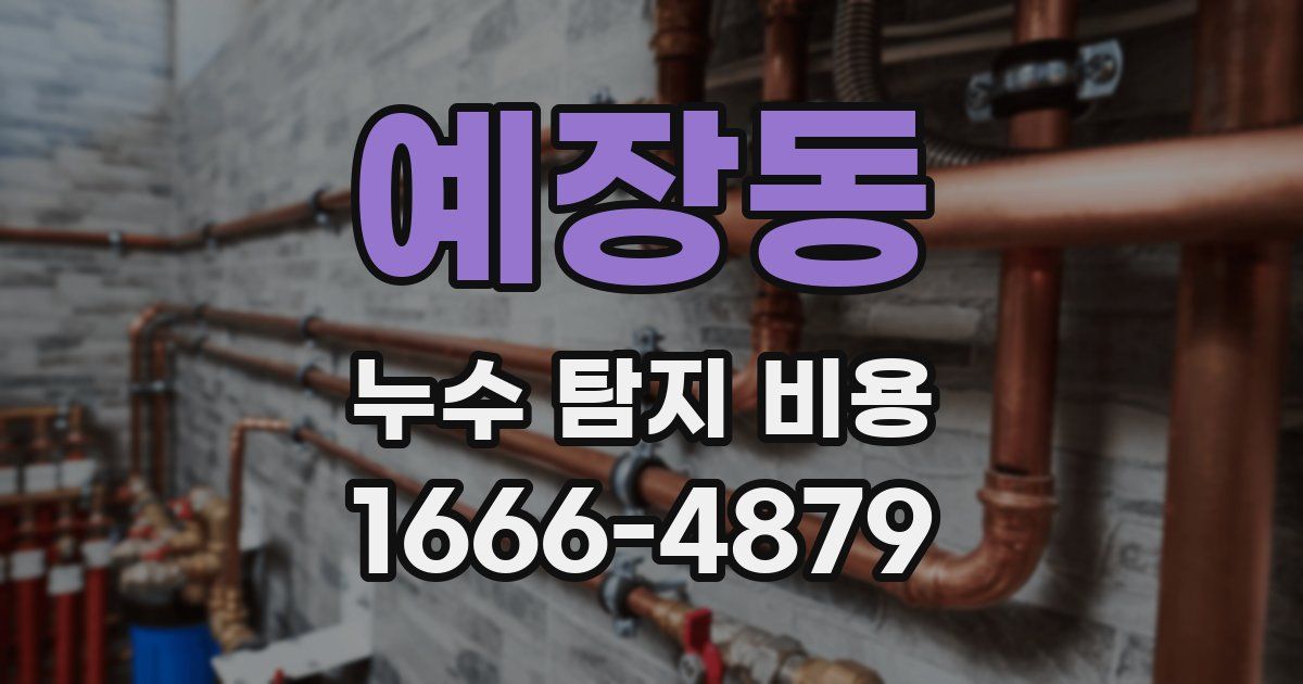 예장동 누수 탐지 비용